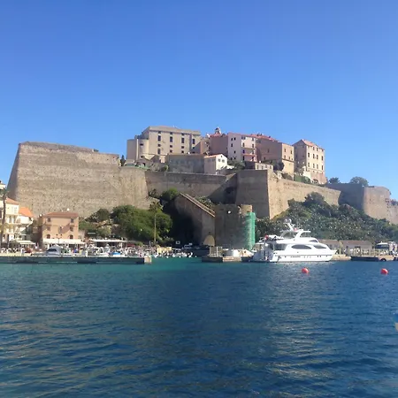 L'oiseau Bleu A Calvi